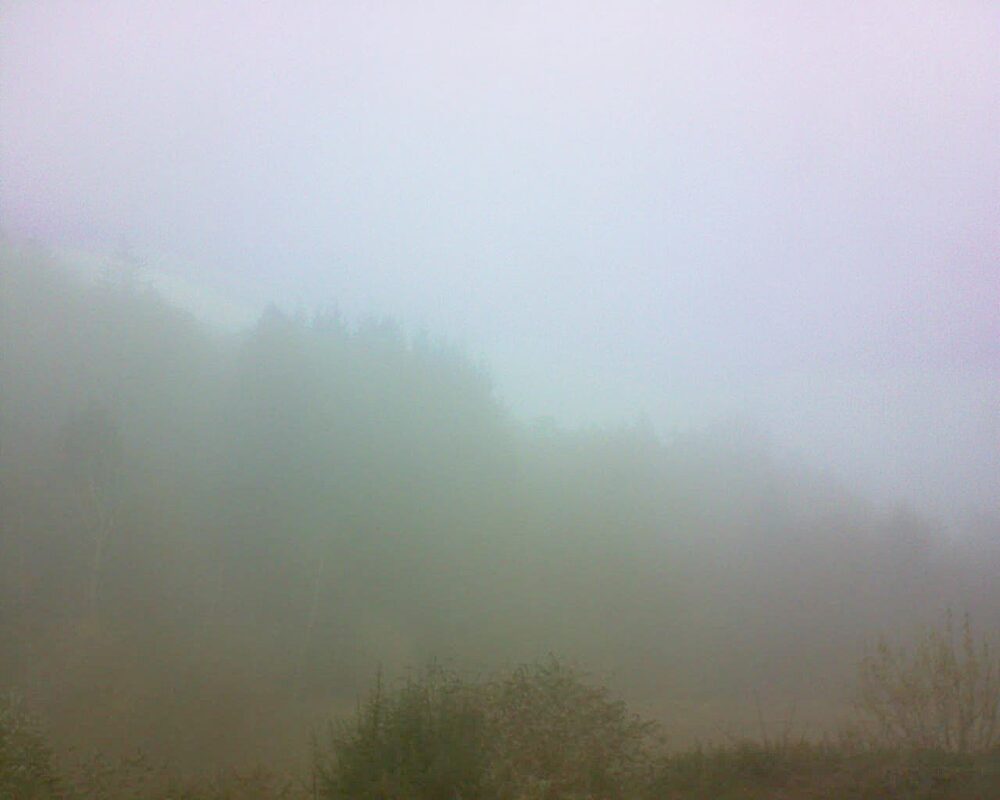 Le petit ballon (Alsace, Vosges) le 04.12.2025 à 10:30