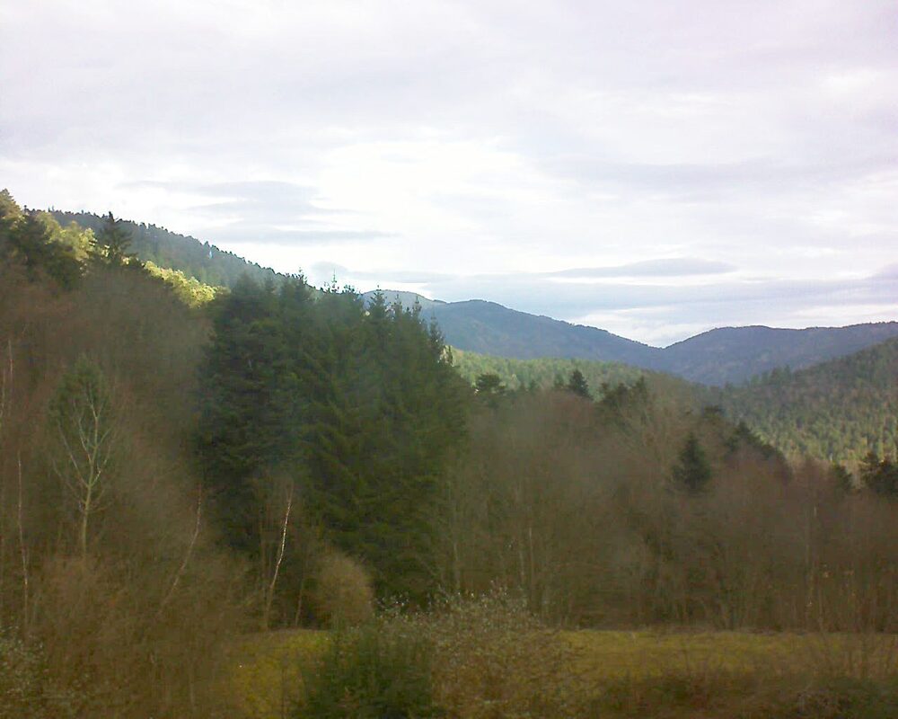 Le petit ballon vu depuis le Domaine Langmatt à Murbach le 10.12.2025 à 10:30 Le petit ballon (Alsace, Vosges) le 10.12.2025 à 10:30