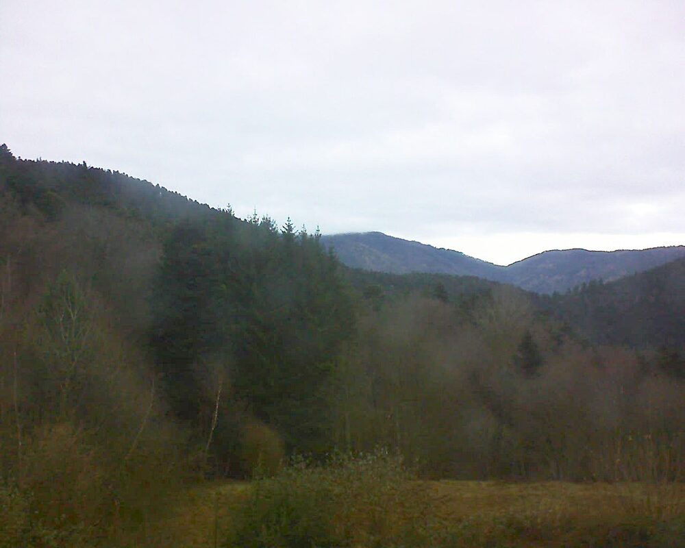 Le petit ballon (Alsace, Vosges) le 11.12.2025 à 09:30