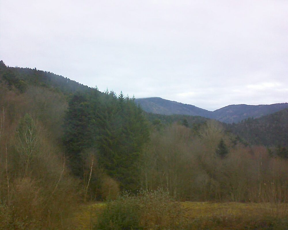 Le petit ballon (Alsace, Vosges) le 11.12.2025 à 10:15