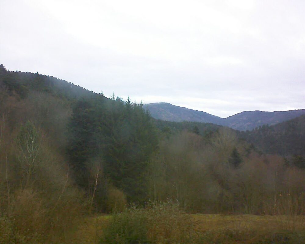 Le petit ballon (Alsace, Vosges) le 11.12.2025 à 10:30