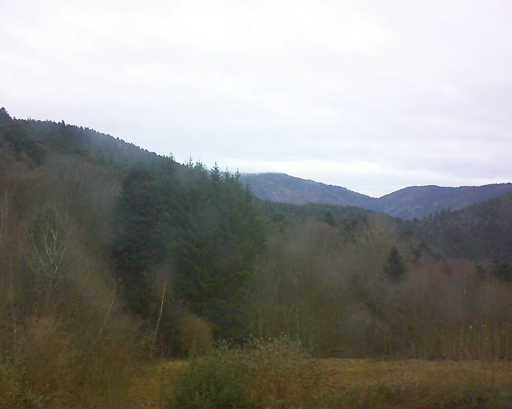 Le petit ballon (Alsace, Vosges) le 11.12.2025 à 10:45