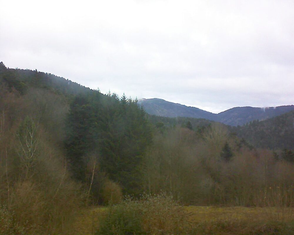 Le petit ballon (Alsace, Vosges) le 11.12.2025 à 11:30