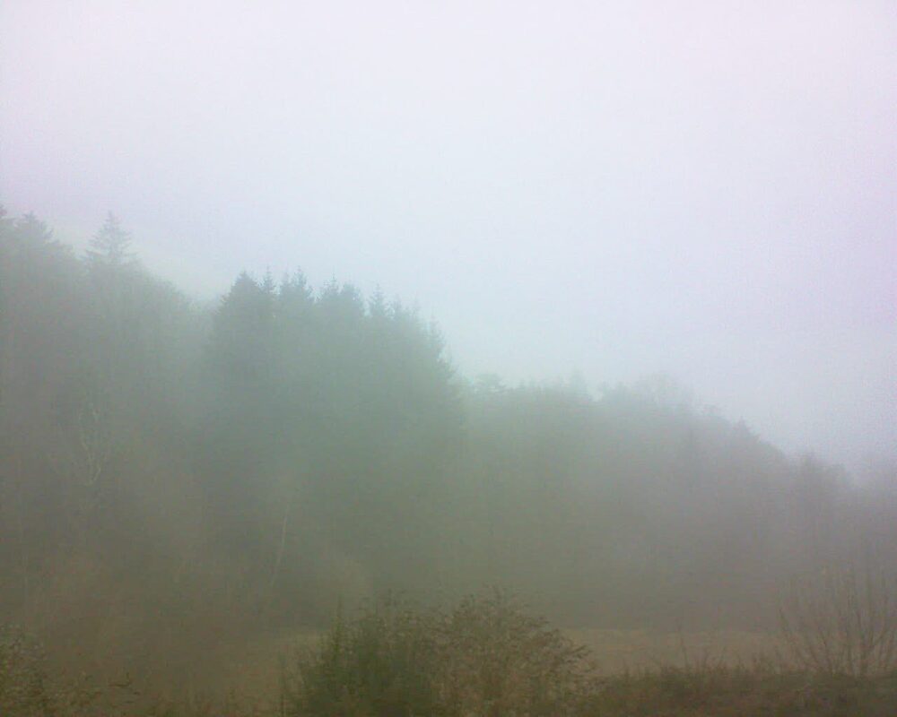 Le petit ballon (Alsace, Vosges) le 11.12.2025 à 13:30