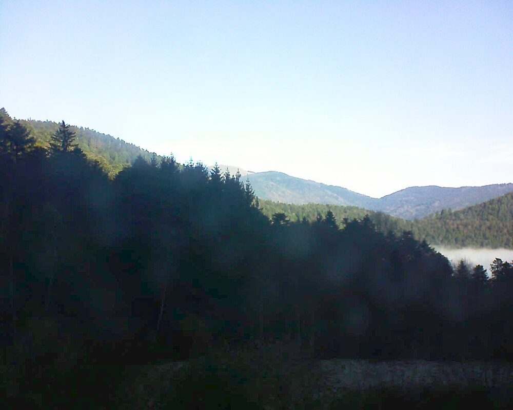 Le petit ballon (Alsace, Vosges) le 14.12.2025 à 10:45