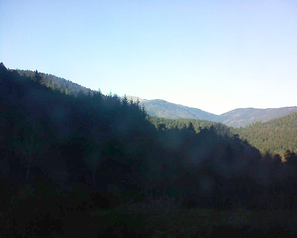 Le petit ballon (Alsace, Vosges) le 14.12.2025 à 14:30