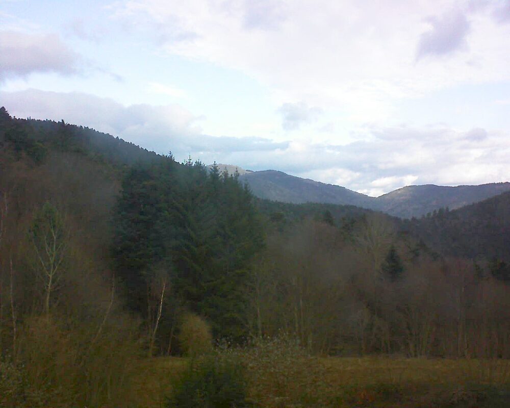 Le petit ballon (Alsace, Vosges) le 17.12.2025 à 11:30