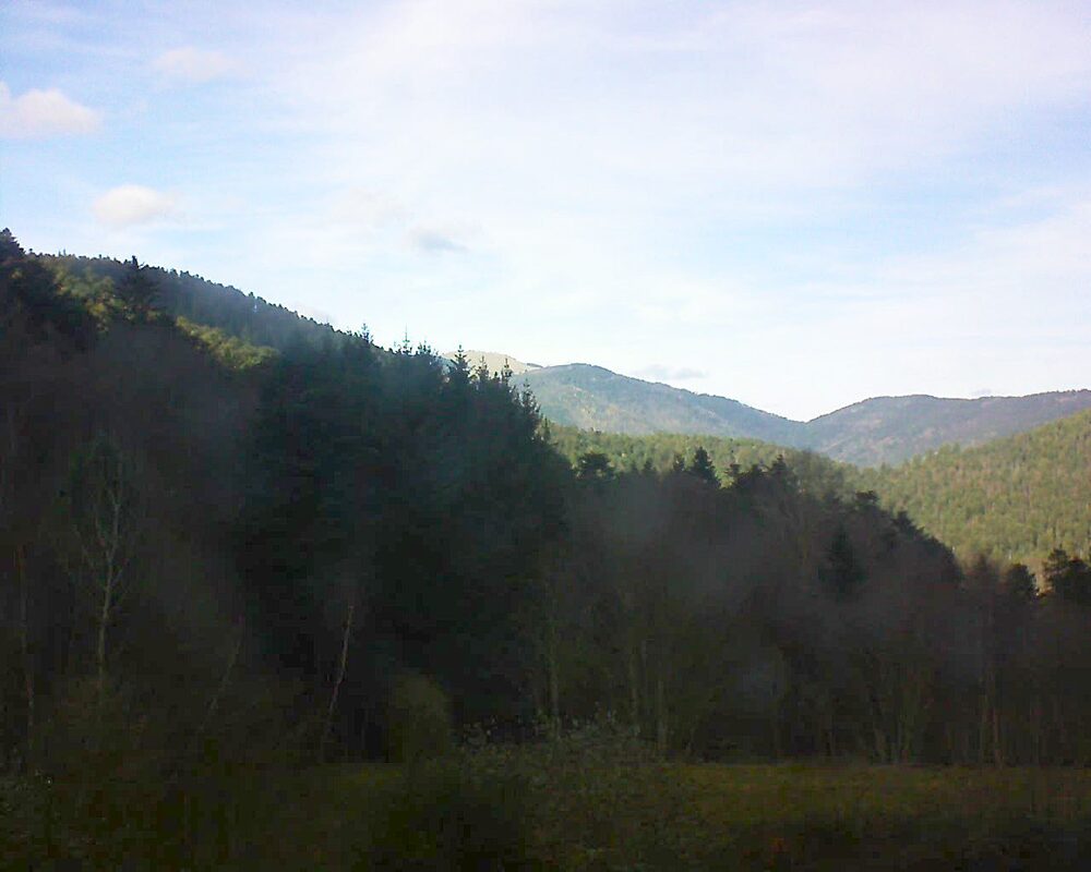 Le petit ballon (Alsace, Vosges) le 18.12.2025 à 14:00