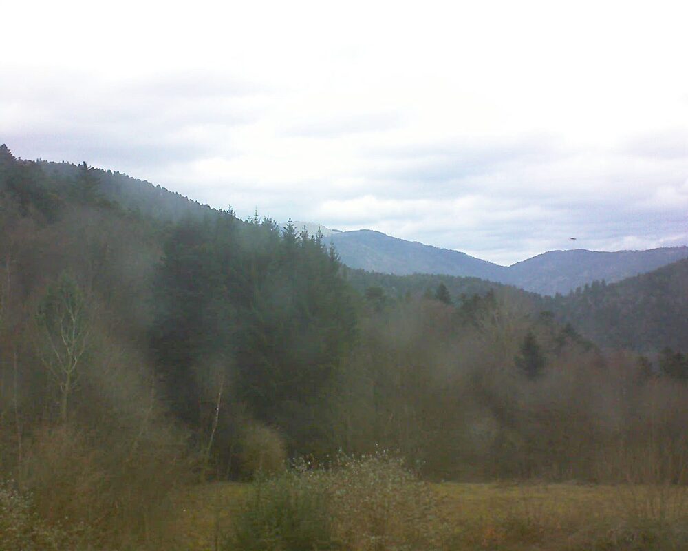 Le petit ballon (Alsace, Vosges) le 19.12.2025 à 14:00