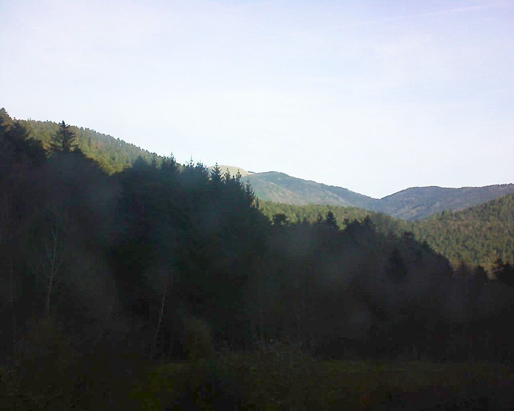Le petit ballon (Alsace, Vosges) le 21.12.2025 à 10:30