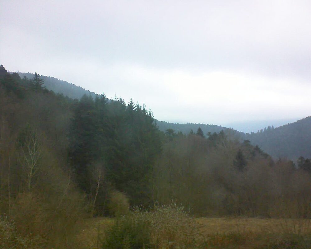 Le petit ballon (Alsace, Vosges) le 24.12.2025 à 11:30