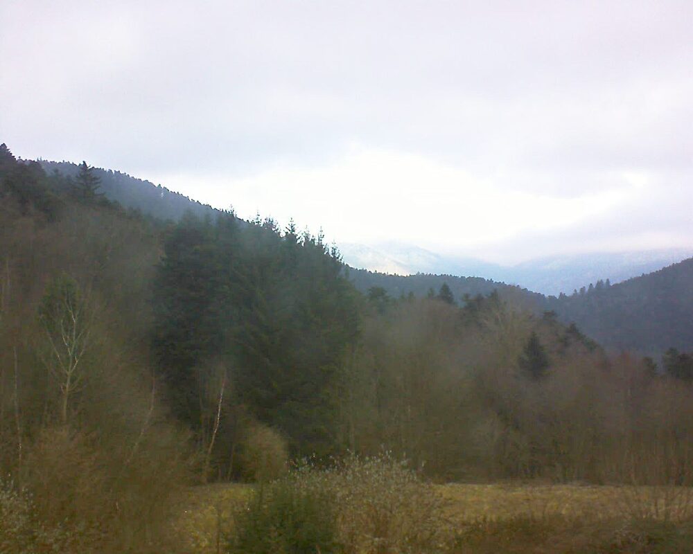 Le petit ballon (Alsace, Vosges) le 25.12.2025 à 10:30