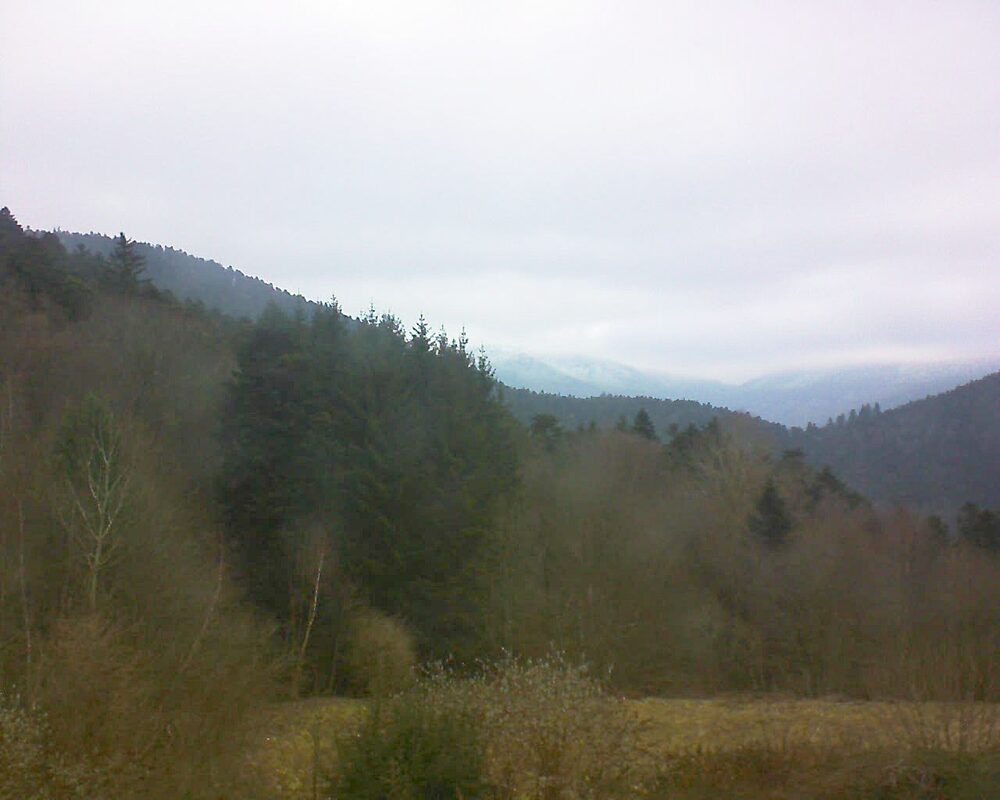 Le petit ballon (Alsace, Vosges) le 25.12.2025 à 11:30