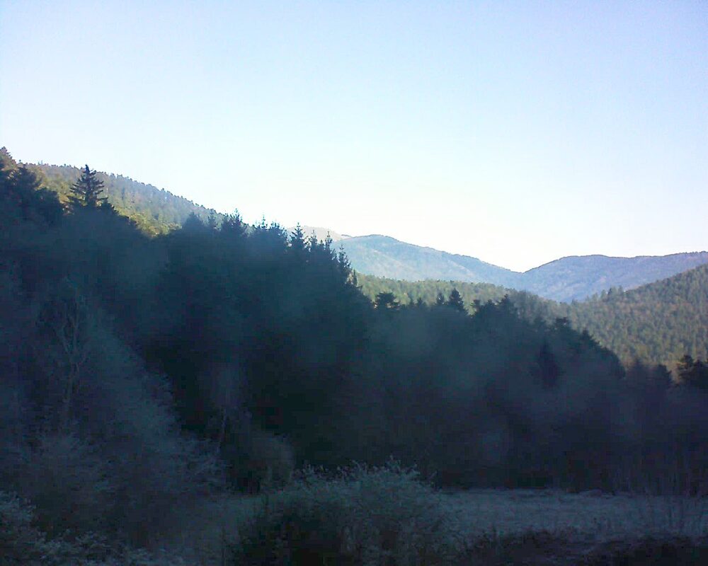 Le petit ballon (Alsace, Vosges) le 27.12.2025 à 10:30