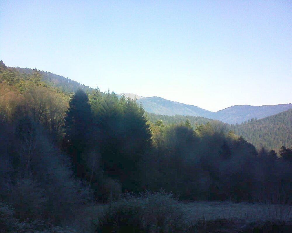 Le petit ballon (Alsace, Vosges) le 27.12.2025 à 11:30