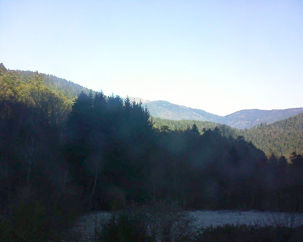 Le petit ballon (Alsace, Vosges) le 28.12.2025 à 11:15