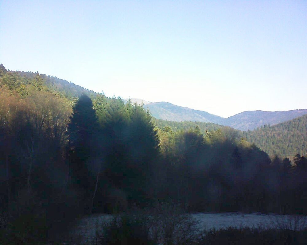 Le petit ballon (Alsace, Vosges) le 28.12.2025 à 11:30