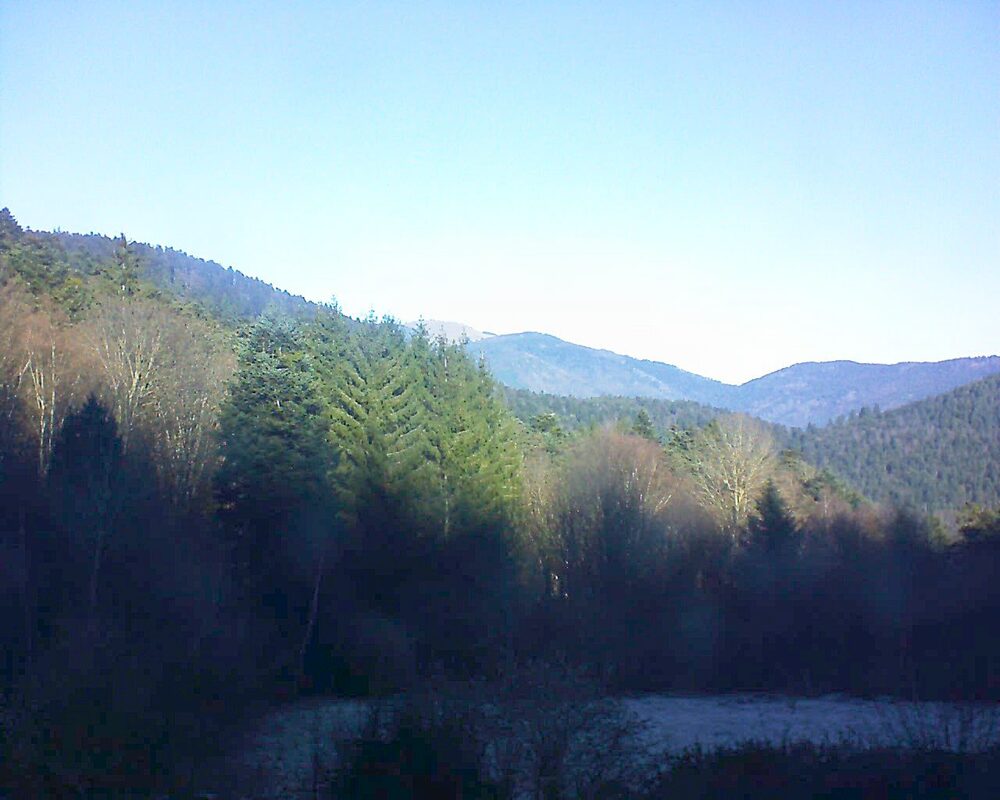 Le petit ballon (Alsace, Vosges) le 28.12.2025 à 11:45