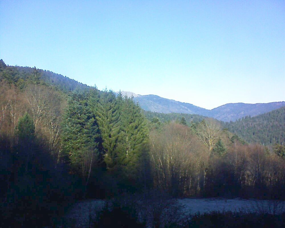 Le petit ballon (Alsace, Vosges) le 28.12.2025 à 12:30