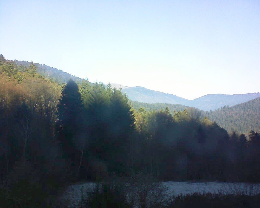 Le petit ballon (Alsace, Vosges) le 29.12.2025 à 11:30