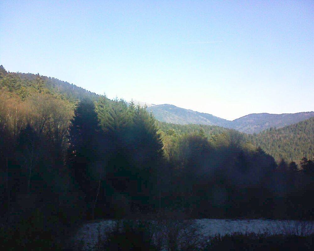 Le petit ballon (Alsace, Vosges) le 31.12.2025 à 11:30