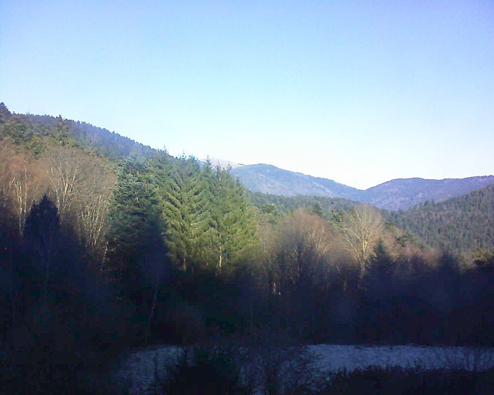 Le petit ballon (Alsace, Vosges) le 31.12.2025 à 11:45