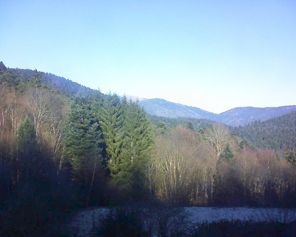 Le petit ballon (Alsace, Vosges) le 31.12.2025 à 12:30