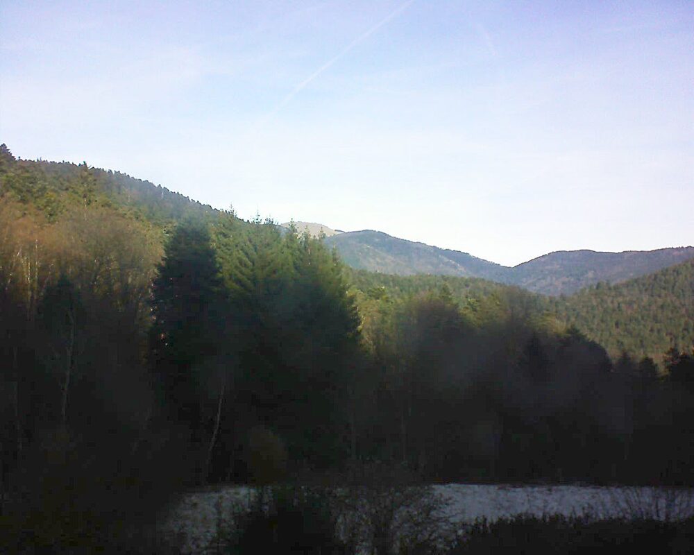 Le petit ballon (Alsace, Vosges) le 01.01.2026 à 11:30
