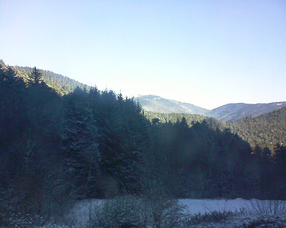 Le petit ballon (Alsace, Vosges) le 03.01.2026 à 10:30