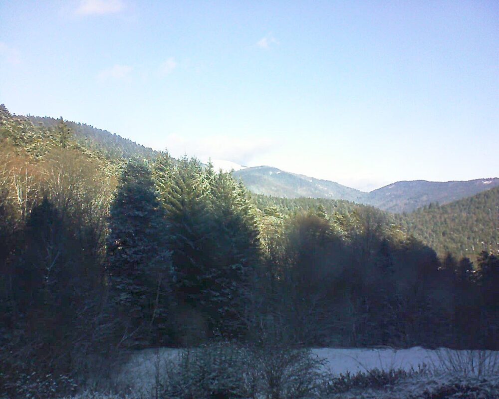 Le petit ballon vu depuis le Domaine Langmatt à Murbach le 03.01.2026 à 11:30 Le petit ballon (Alsace, Vosges) le 03.01.2026 à 11:30