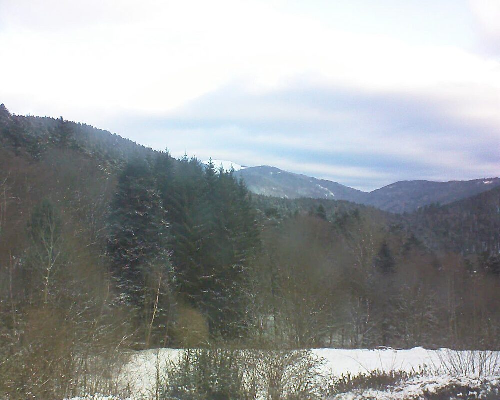 Le petit ballon (Alsace, Vosges) le 04.01.2026 à 09:30