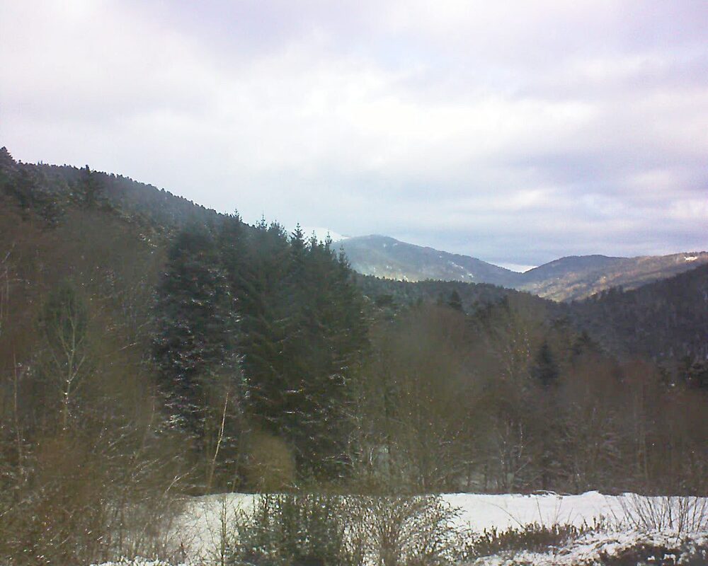 Le petit ballon (Alsace, Vosges) le 04.01.2026 à 10:30