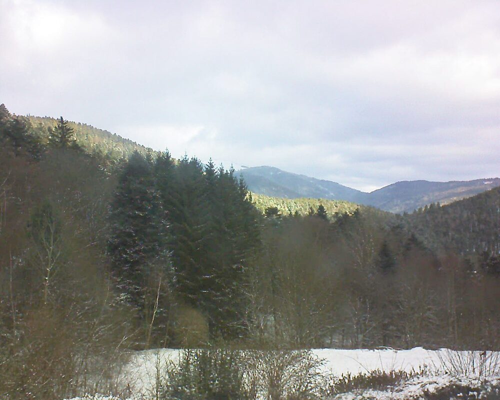 Le petit ballon (Alsace, Vosges) le 04.01.2026 à 10:45