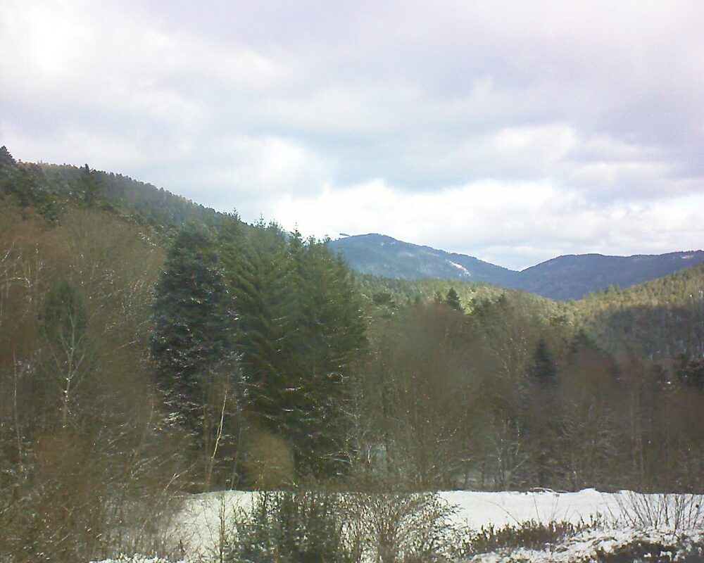 Le petit ballon (Alsace, Vosges) le 04.01.2026 à 11:30
