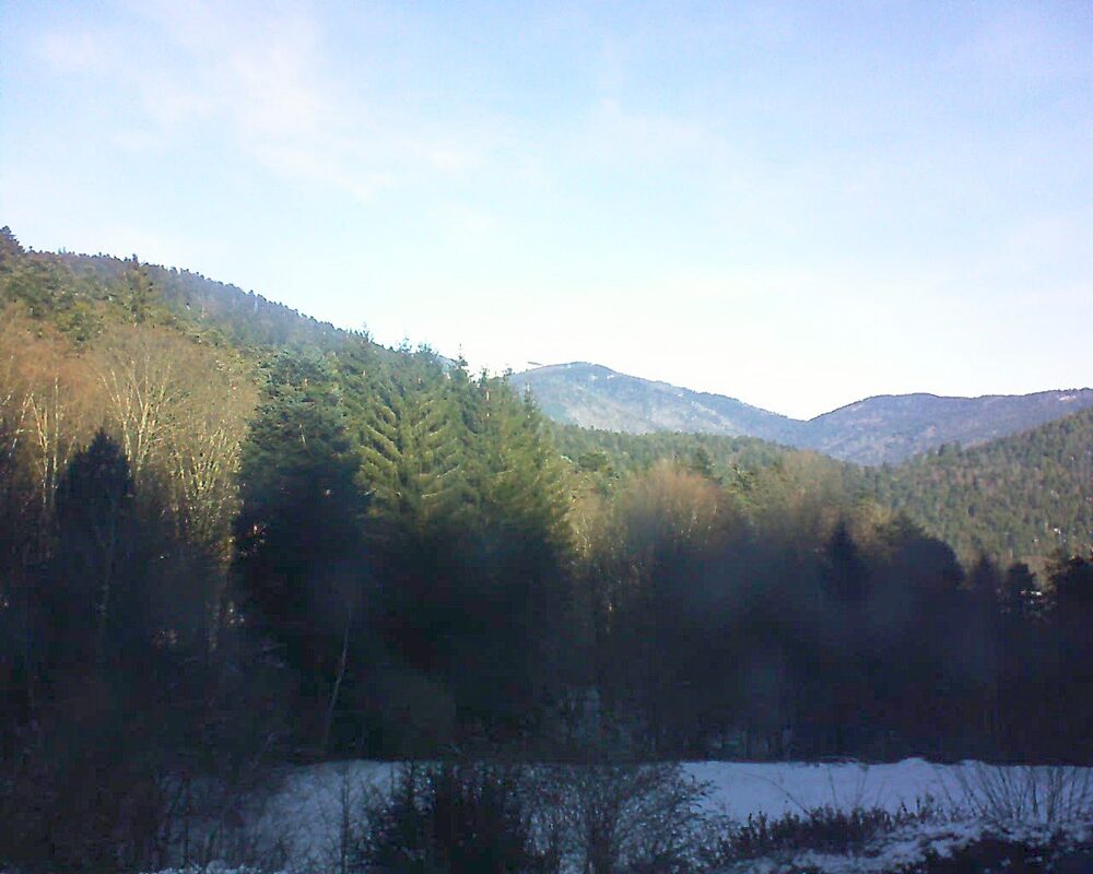 Le petit ballon (Alsace, Vosges) le 07.01.2026 à 11:30
