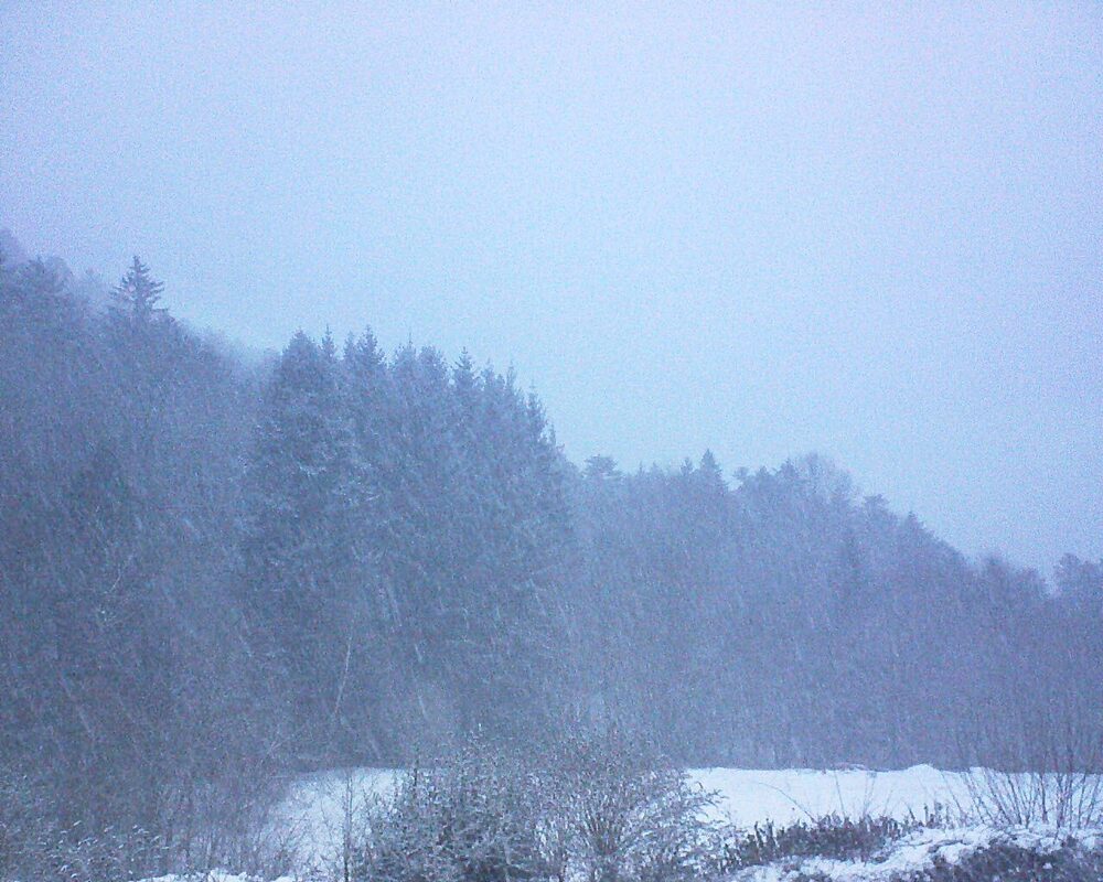 Le petit ballon (Alsace, Vosges) le 08.01.2026 à 08:15