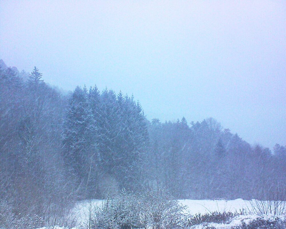 Le petit ballon (Alsace, Vosges) le 08.01.2026 à 08:30