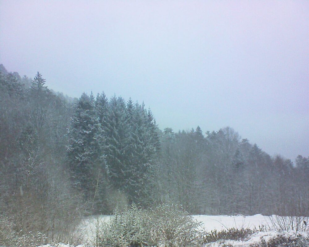 Le petit ballon (Alsace, Vosges) le 08.01.2026 à 09:00