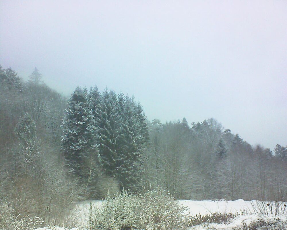 Le petit ballon (Alsace, Vosges) le 08.01.2026 à 09:30