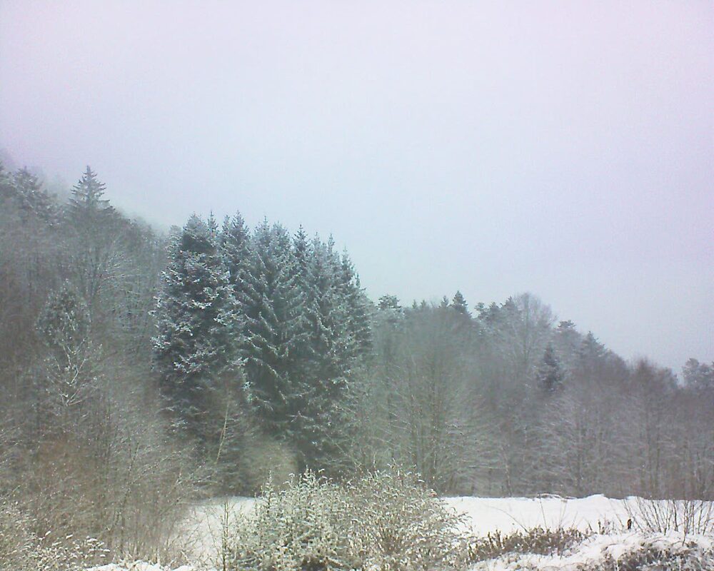Le petit ballon (Alsace, Vosges) le 08.01.2026 à 09:45