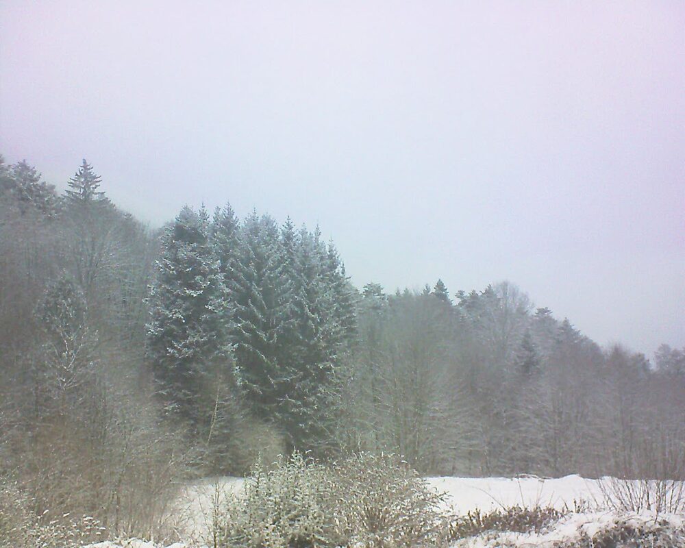 Le petit ballon (Alsace, Vosges) le 08.01.2026 à 10:15