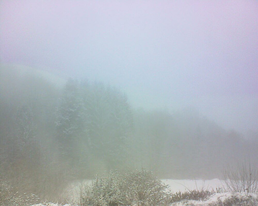 Le petit ballon (Alsace, Vosges) le 08.01.2026 à 10:30