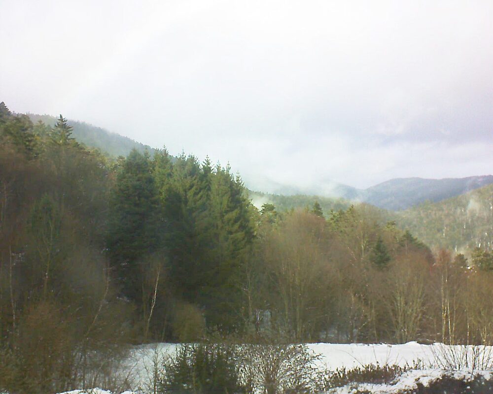 Le petit ballon (Alsace, Vosges) le 08.01.2026 à 13:30