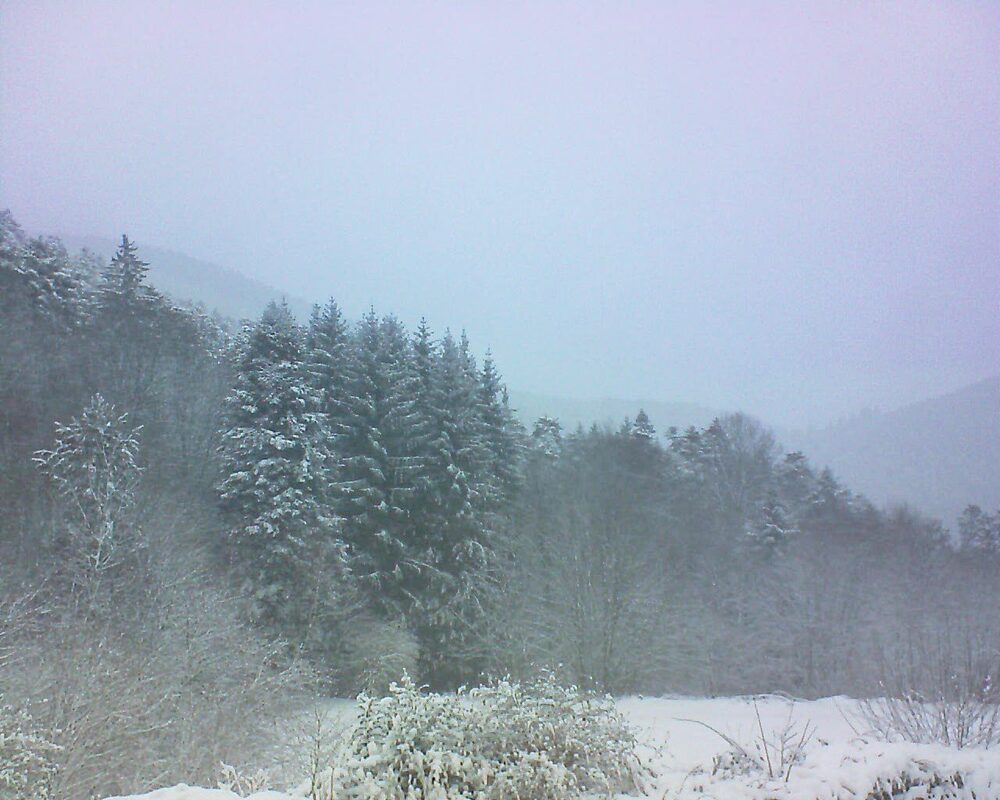 Le petit ballon (Alsace, Vosges) le 10.01.2026 à 09:30