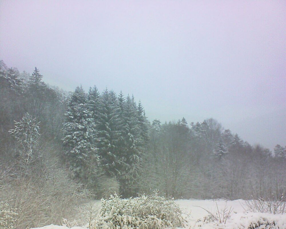 Le petit ballon (Alsace, Vosges) le 10.01.2026 à 10:30