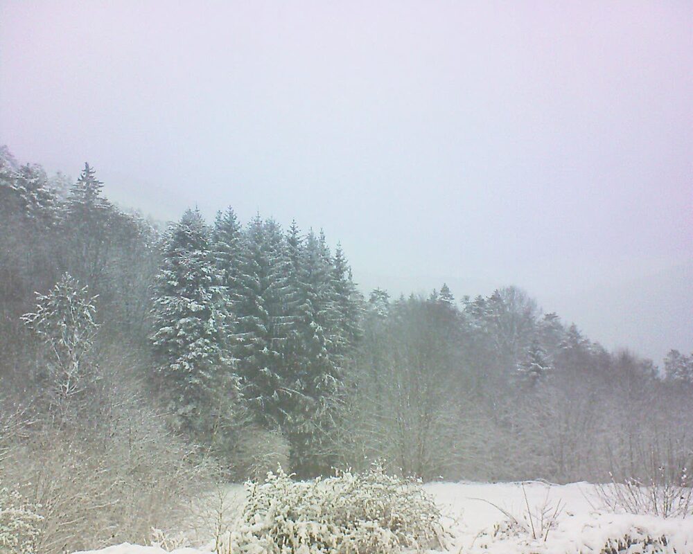 Le petit ballon (Alsace, Vosges) le 10.01.2026 à 10:45
