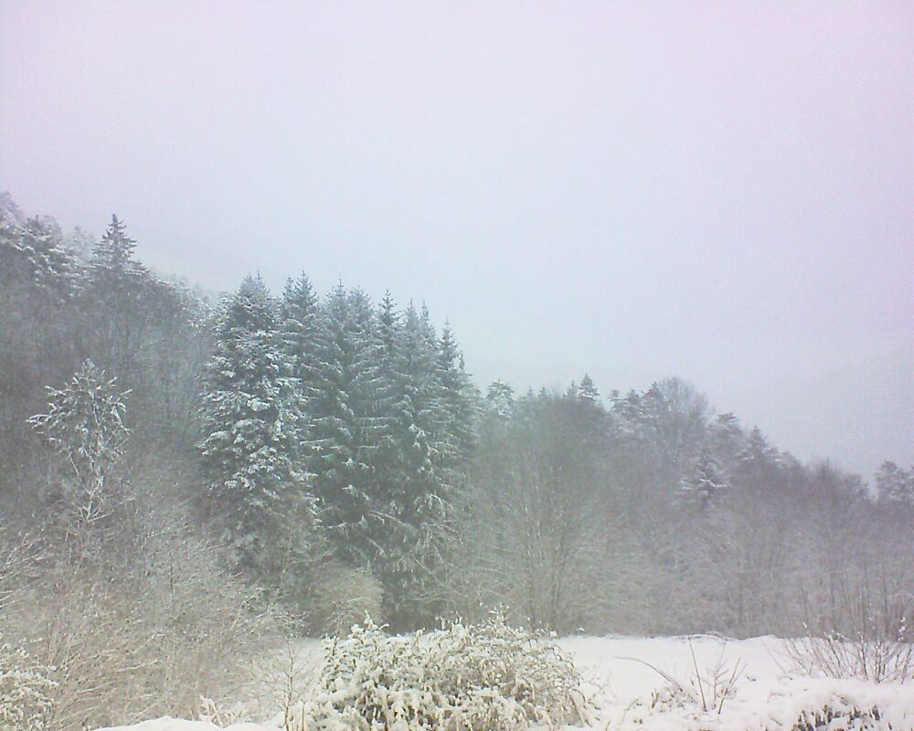 Le petit ballon (Alsace, Vosges) le 10.01.2026 à 11:30