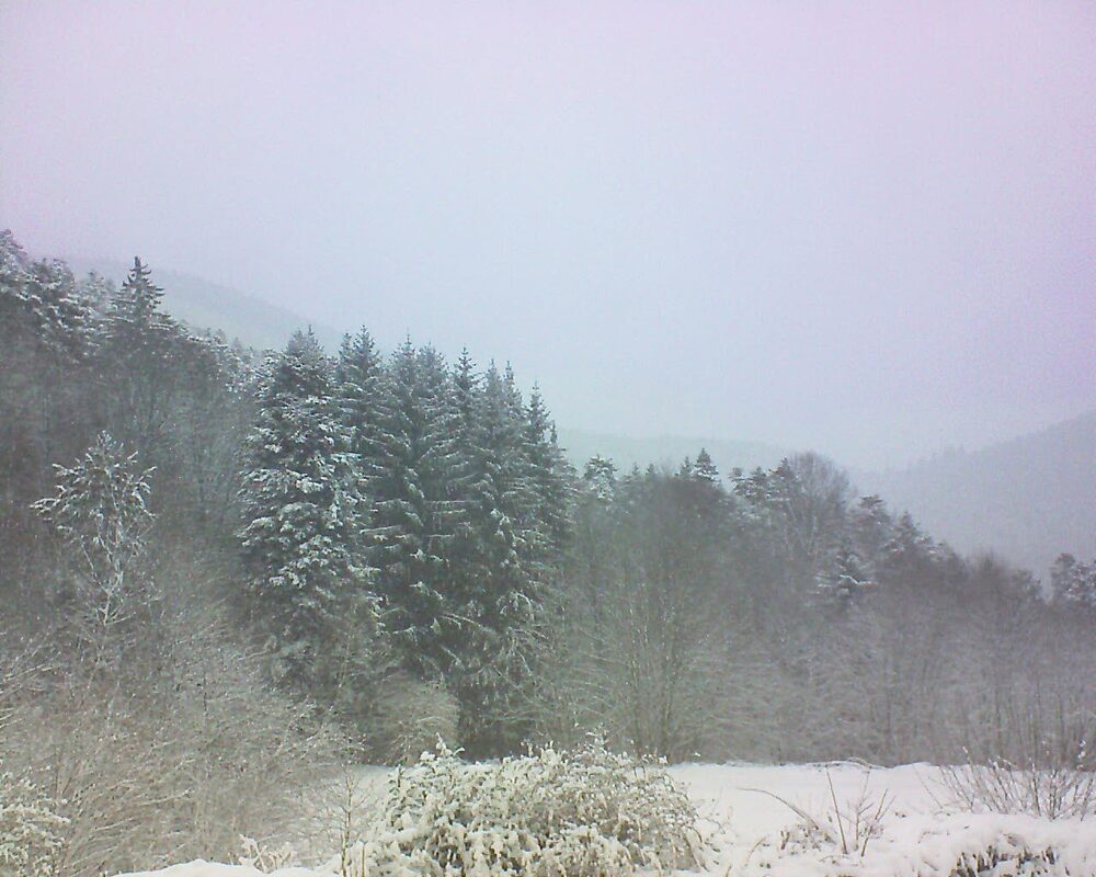 Le petit ballon vu depuis le Domaine Langmatt à Murbach le 10.01.2026 à 12:30 Le petit ballon (Alsace, Vosges) le 10.01.2026 à 12:30
