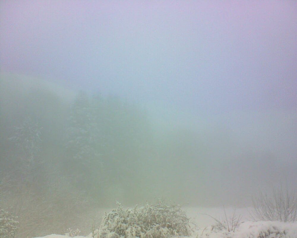 Le petit ballon (Alsace, Vosges) le 11.01.2026 à 10:15