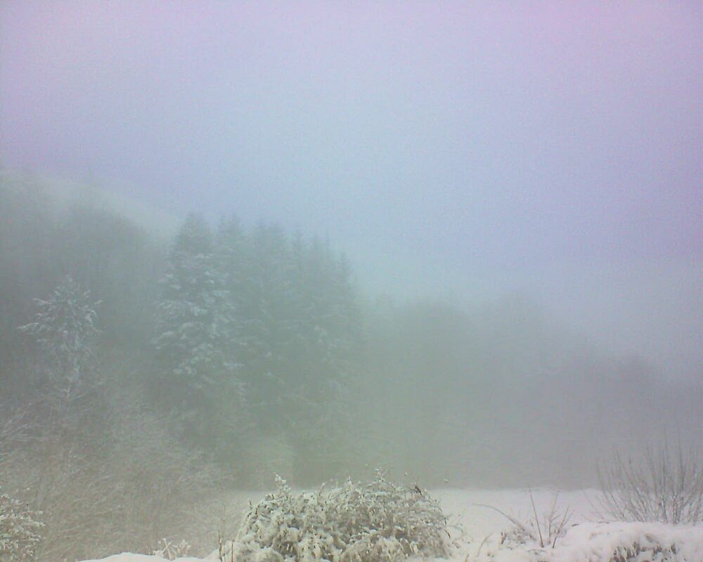 Le petit ballon (Alsace, Vosges) le 11.01.2026 à 10:30